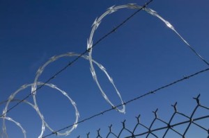 SPIRALROLLEN AUS KLINGENDRAHT - Ø 300 mm - OHNE KLAMMER